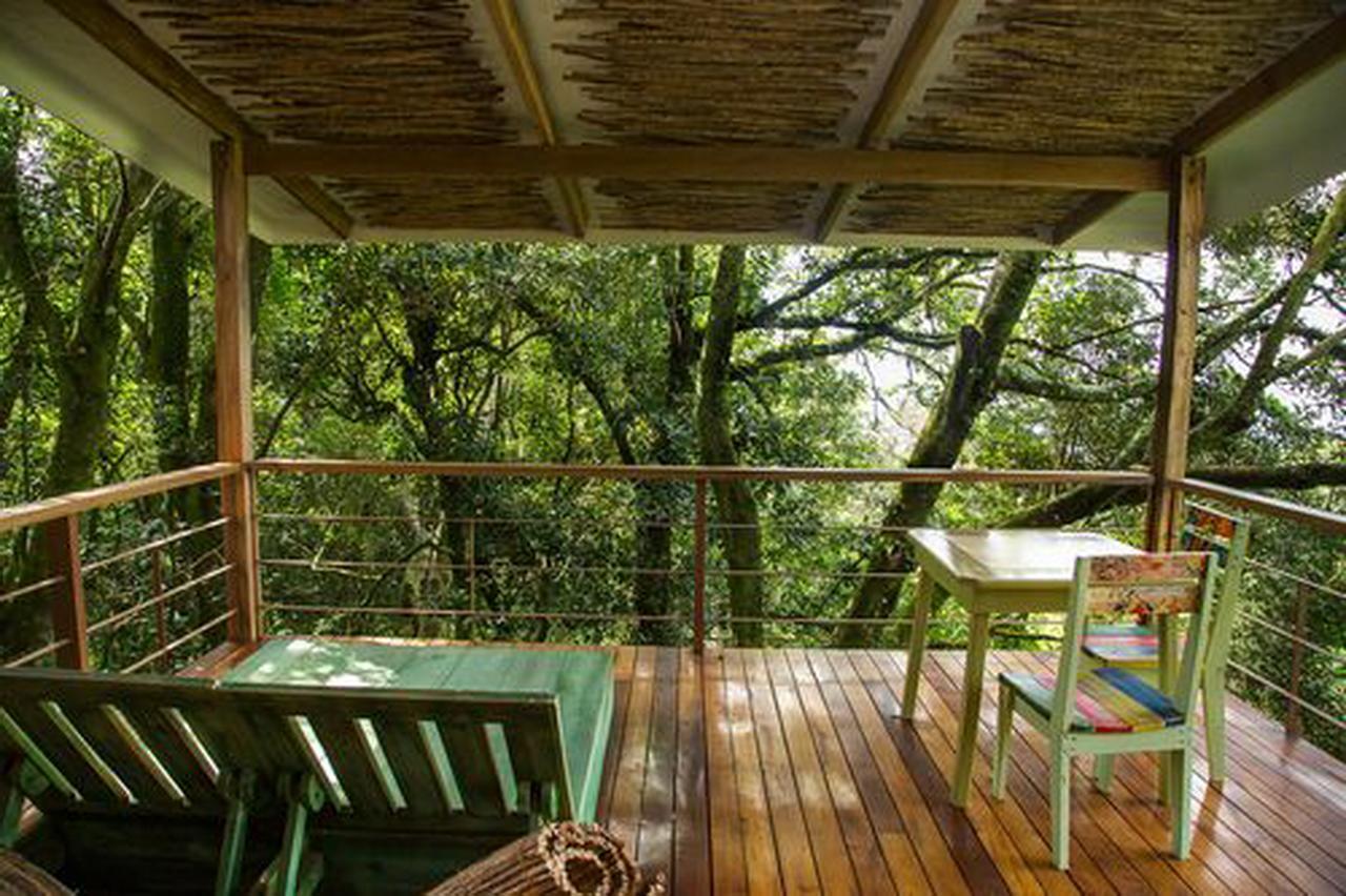 Chayote Lodge Zarcero Exterior photo